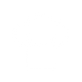 icon chef